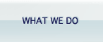 What We Do